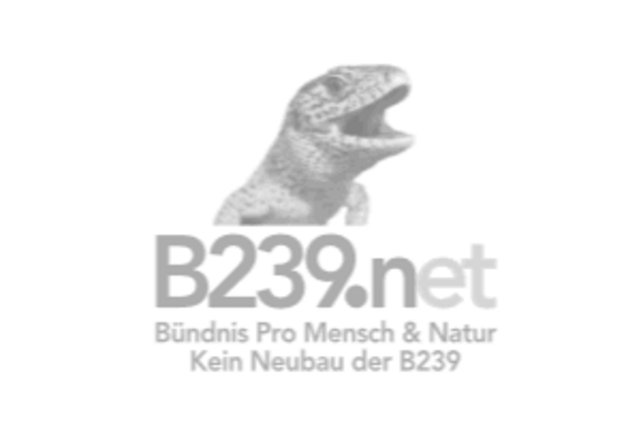 logo b239n.net